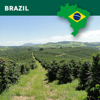 Handgerösteter Kaffee aus Brasilien