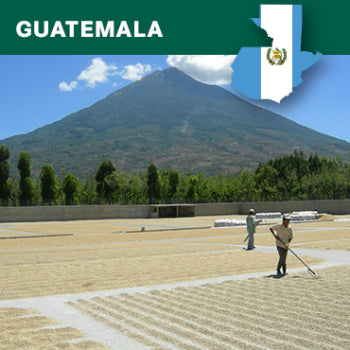 Handgerösteter Kaffee aus Guatemala
