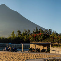 Handgerösteter Kaffee aus Guatemala