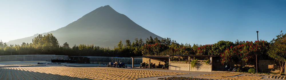 Handgerösteter Kaffee aus Guatemala