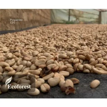 Handgerösteter Kaffee Peru