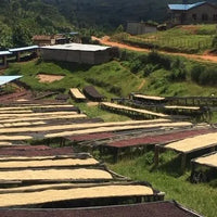 Handgerösteter Kaffee Ruanda