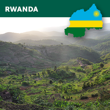 Handgerösteter Kaffee Ruanda